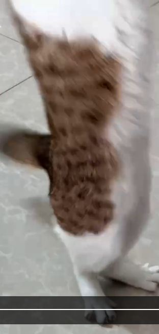 美甲攻防 环境图